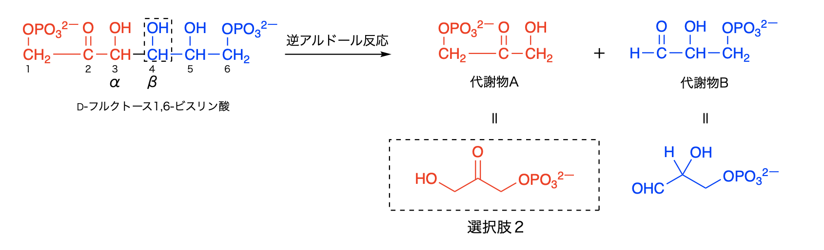 解説画像